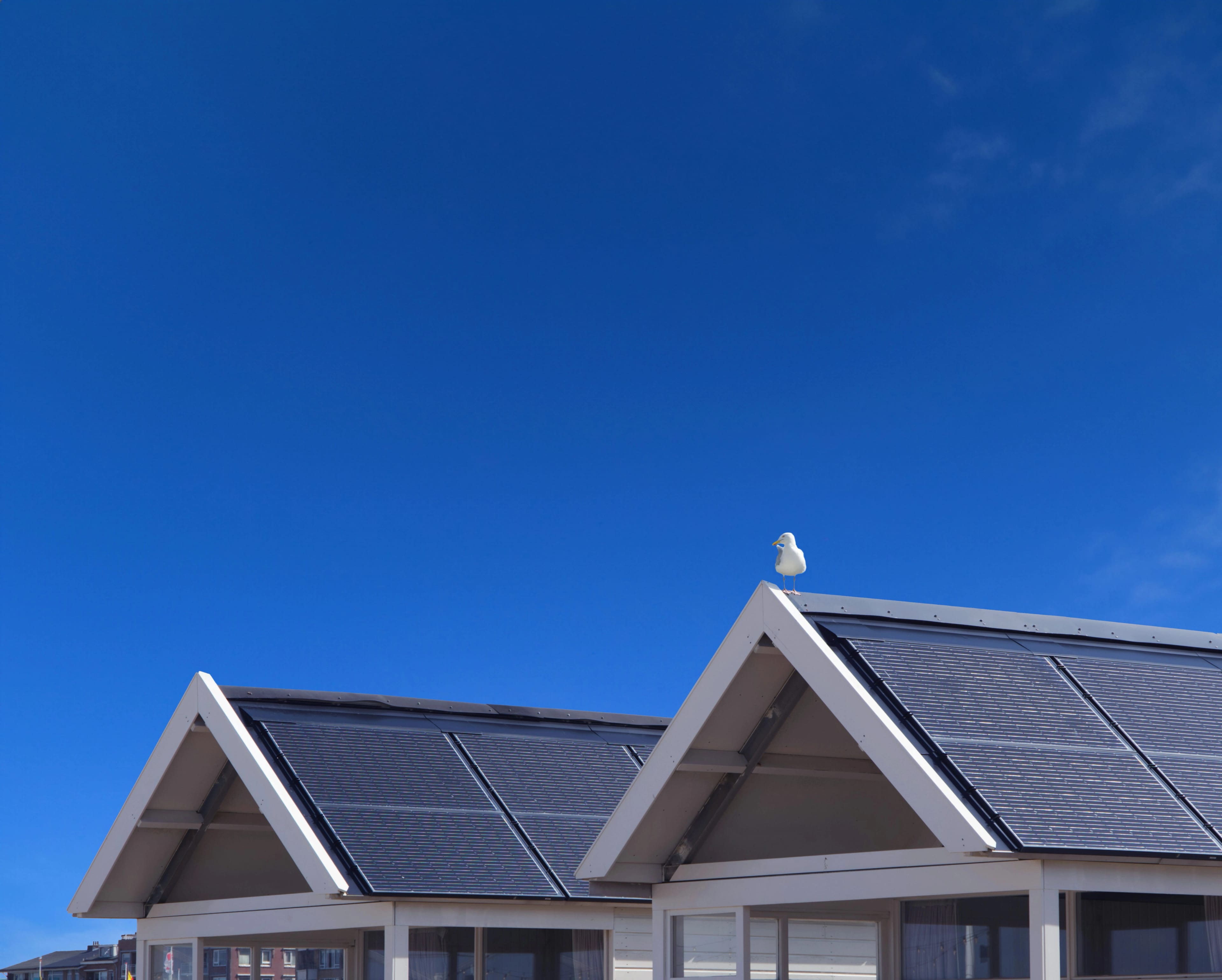 House with solar panels